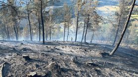 Balıkesir'deki Orman Yangını Kontrol Altına Alındı