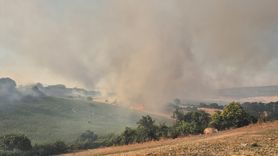 Balıkesir'de Yangın Kontrol Altına Alındı