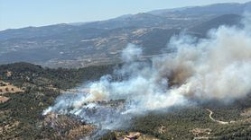 Balıkesir'deki Orman Yangınına Hızla Müdahale Ediliyor