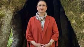 Bartın'da 500 Yıllık Çınar Ağacı İçin Anıt Ağaç Başvurusu