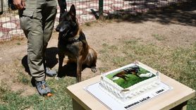 Batman'da Uyuşturucu ile Mücadelede Görevlenen 'Linda' Emekli Oldu