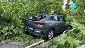 Beşiktaş'ta Ağaç Devrildi: 3 Araç Hasar Gördü