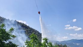 Bilecik'teki Orman Yangını Kontrol Altına Alındı