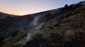 Bingöl'deki Orman Yangını Kontrol Altına Alındı