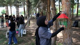 Bitlis'te Öğrencilerden Sıfır Atık Projesine Destek: Kuş Yuvaları Ağaçlara Asıldı