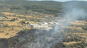 Bodrum'da Tarım Arazisinde Yangın Kontrol Altına Alındı