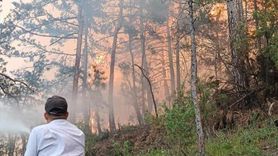 Bolu Göynük'te Orman Yangınına Müdahale