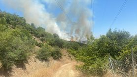 Bursa'da Orman Yangını Kontrol Altına Alınıyor