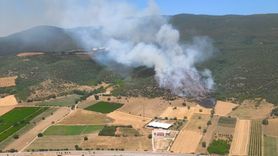 Bursa'daki Orman Yangını Kontrol Altına Alındı