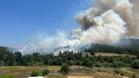 Bursa'nın Orhaneli İlçesinde Yangın Kontrol Altında