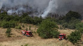 Bursa Yenişehir'deki Orman Yangını Kontrol Altına Alındı