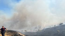 Çanakkale'deki Yangın 100 Dönüm Buğday ve 150 Dönüm Makilik Alana Zarar Verdi