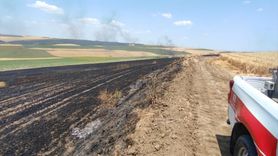 Çorlu'da 70 Dönüm Buğday Tarlasını Kaplayan Yangın Kontrol Altında