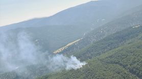 Denizli Çivril'deki Orman Yangını Kontrol Altına Alındı