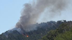 Denizli'de Orman Yangını Kontrol Altına Alındı