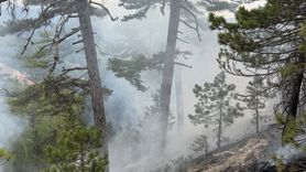 Denizli'deki Orman Yangını Başarıyla Söndürüldü