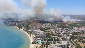Didim'de Makilik Alanda Yangın Çıktı