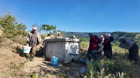 Düzce'de Yangın Kontrol Altına Alındı