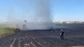 Edirne'de Buğday Tarlasındaki Yangın Kontrol Altına Alındı