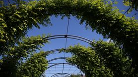 Edirne'de 'Koku Tüneli' Açıldı