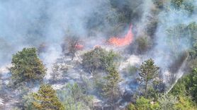 Edirne'de Orman Yangınına Müdahale