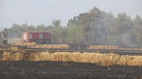 Edirne'de Yangın: 10 Dekar Buğday Tarlası Zarar Gördü