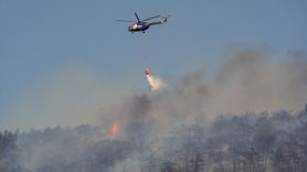 Foça'da Orman Yangını Kontrol Altına Alındı