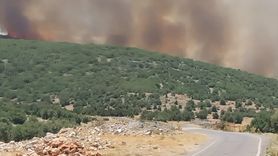 Gaziantep'te Orman Yangınına Müdahale Devam Ediyor