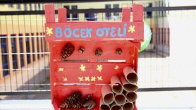 Giresun'da Orman Okulu Projesi Uygulandı