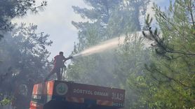 Hatay'daki Orman Yangını Kontrol Altına Alındı
