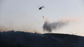 Hatay'daki Zeytinlik Yangını Kontrol Altına Alındı