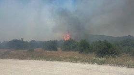 İvrindi'de Orman Yangını Kontrol Altına Alındı