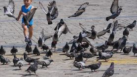 İzmir'de Kurban Bayramı'nda Sessizlik Hakim