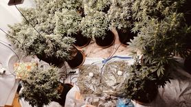 İzmir'de Uyuşturucu Üretimi: Şüpheli Tutuklandı