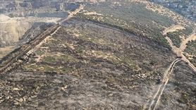 İzmir'deki Makilik Alan Yangını Kontrol Altına Alındı