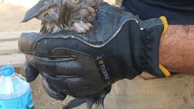 İzmir'deki Yangında Bebek Hayatını Kaybetti