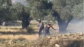 İzmir'deki Zeytinlik Yangını Kontrol Altında