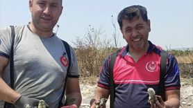 İzmir Kemalpaşa'da Boş Arazide Yangın Kontrol Altına Alındı