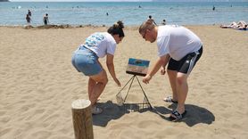 İztuzu Plajı'nda Caretta Caretta Yuvaları Rekoru