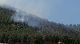 Kahramanmaraş'ta Orman Yangını Kontrol Altına Alındı