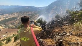 Kahramanmaraş Türkoğlu'ndaki Orman Yangını Kontrol Altına Alındı