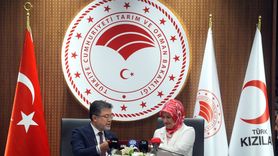 Kan Bağışına Fidan Desteği: Türk Kızılay ile Yeşil Proje