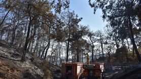 Kemalpaşa'da Orman Yangını Kontrol Altına Alındı