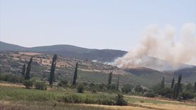 Kepsut'ta Orman Yangınına Hızla Müdahale Ediliyor