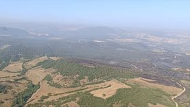 Kepsut'taki Orman Yangınları Kontrol Altına Alındı