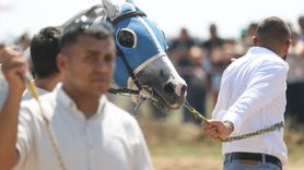 Kırklareli'nde Yağlı Güreş Etkinliği Kapsamında At Yarışları Düzenlendi
