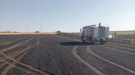 Kırklareli'nde Yangın Felaketi: Tarım Arazisi ve Ceviz Bahçesi Zarar Gördü