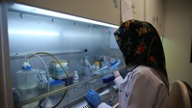 KKKA Aşısında Klinik Öncesi Çalışmalar Eylül'de Tamamlanacak