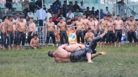 Kocaeli'de 17. Sekapark Altın Kemer Yağlı Güreşleri Devam Ediyor