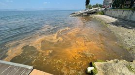 Kocaeli Karamürsel Kıyıları Turuncuya Dönüştü